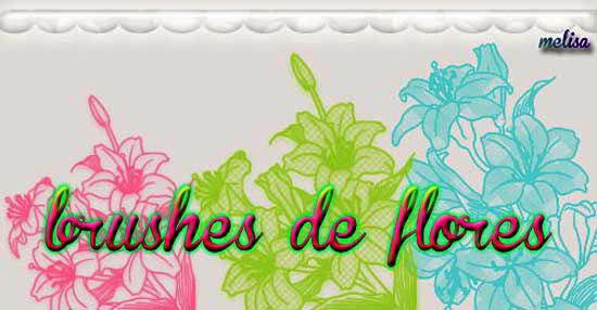 Flores