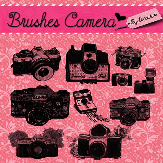 camera brushes photoshop free download