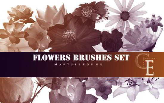 flowers_brushes_set_by_marysse93-d5m3f4f.png