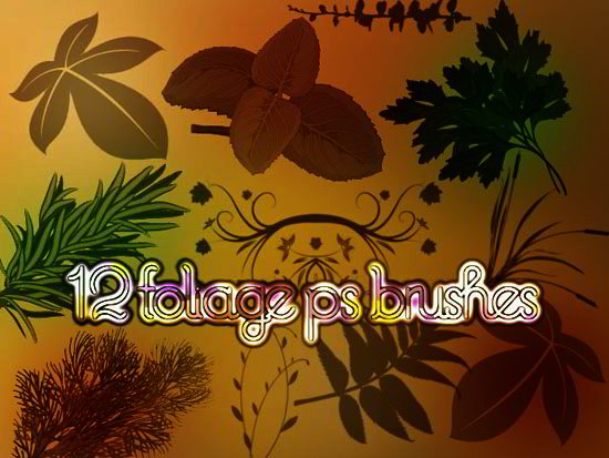 foliage_photoshop_brushes_by_petermarge-d5luuyo