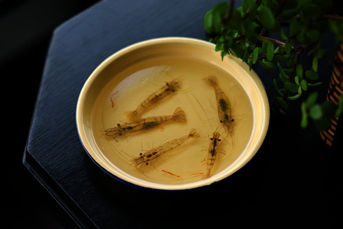 Crazy Realistic 3D Paintings of Keng Lye