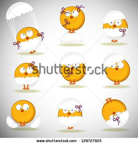 set from chicken in shell on white background