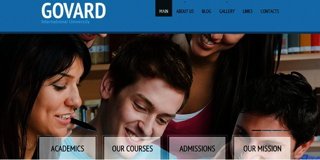 education website