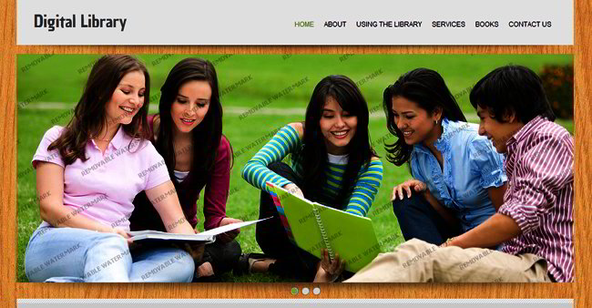 education website