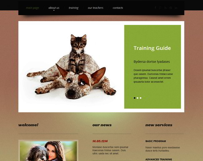 pet_web_template