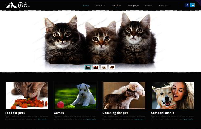 pet_website