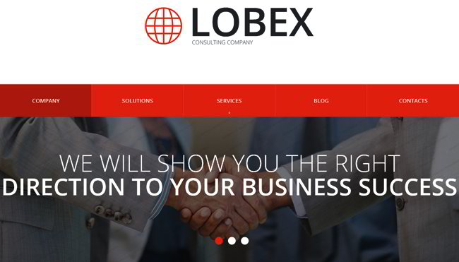 Business Website