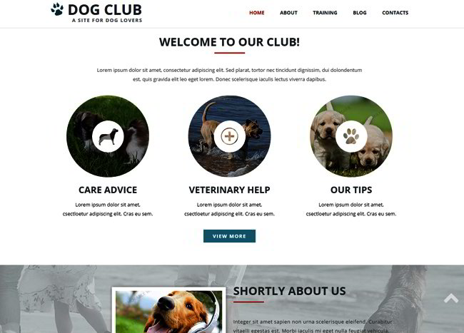 Dog Club Responsive Web Template