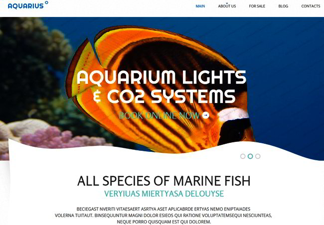 Marine Fish Bootstrap Template