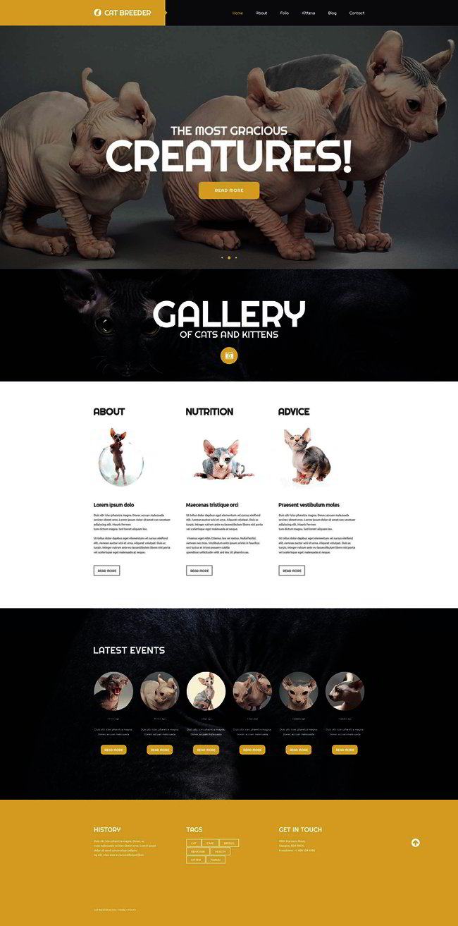 Cat Breeders Website Template